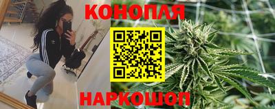 крисы Нягань