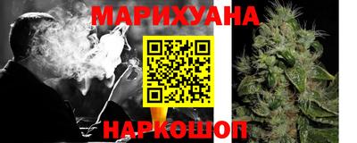 крисы Нягань