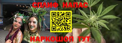крисы Нягань