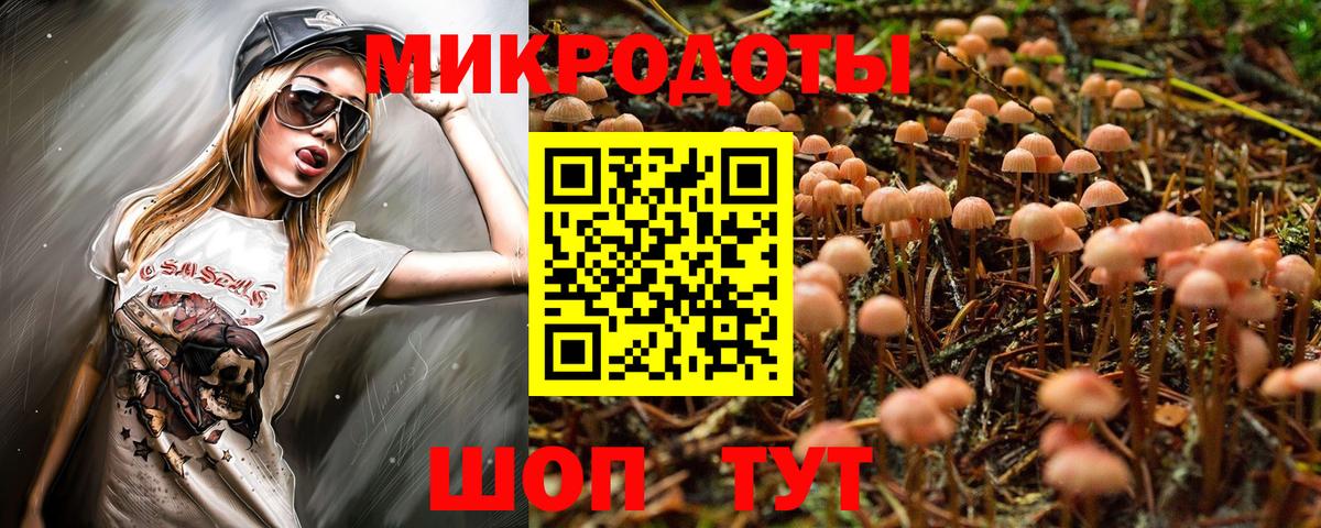 Псилоцибиновые грибы GOLDEN TEACHER Ставрополь