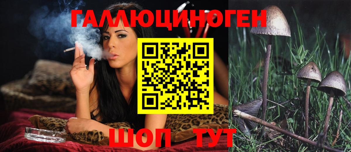 Ставрополь  Псилоцибиновые грибы MAGIC MUSHROOMS  где продают наркотики  Вход с VPN 