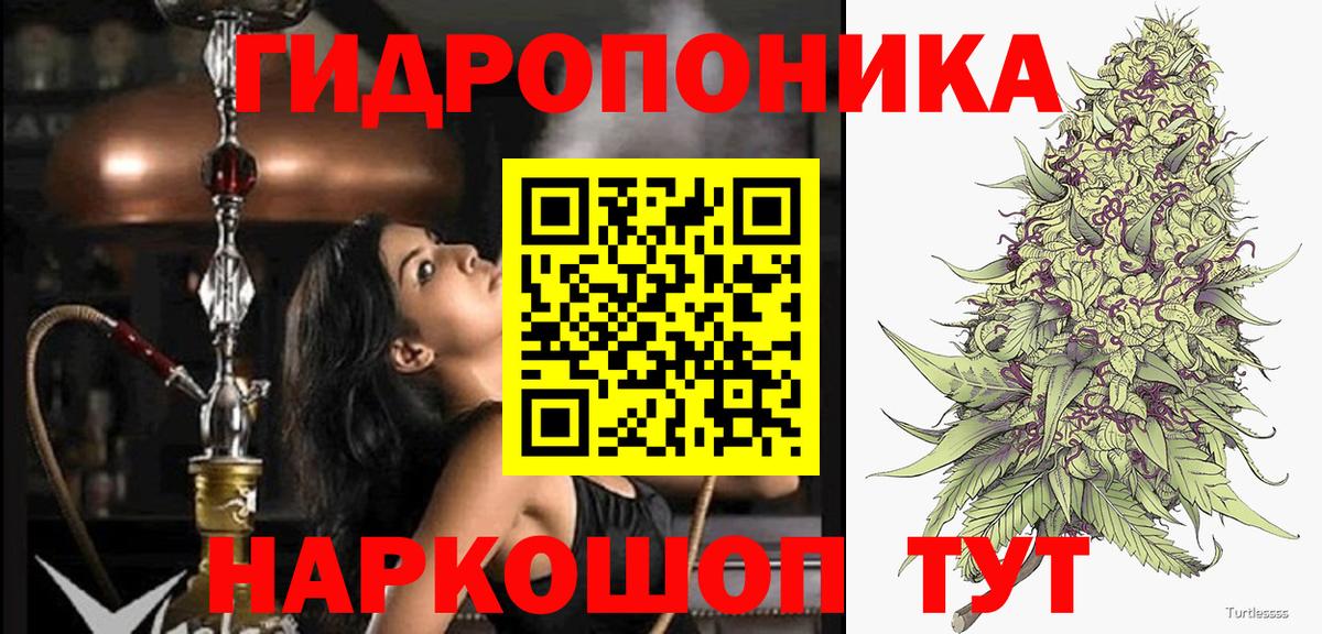 Канабис план Ставрополь